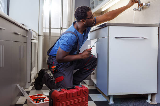 Best Local Plumber Services  in Biggs, CA
